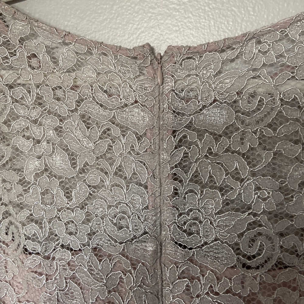 Adrienna Pappell Lace Dress Sz 18W NWT Color Icy Lilac gray very pretty holiday - Picture 8 of 17